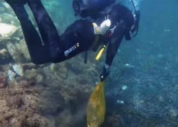 WE SEA MORE II: Με σύμμαχο την τεχνολογία στη μάχη για καθαρές θάλασσες