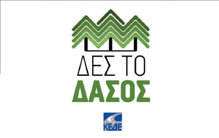 ΚΕΔΕ: Πρόγραμμα «Δες το Δάσος» για αναδασώσεις