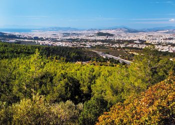 Πρόγραμμα «Επαγρυπνούμε όλοι μαζί» στον Υμηττό