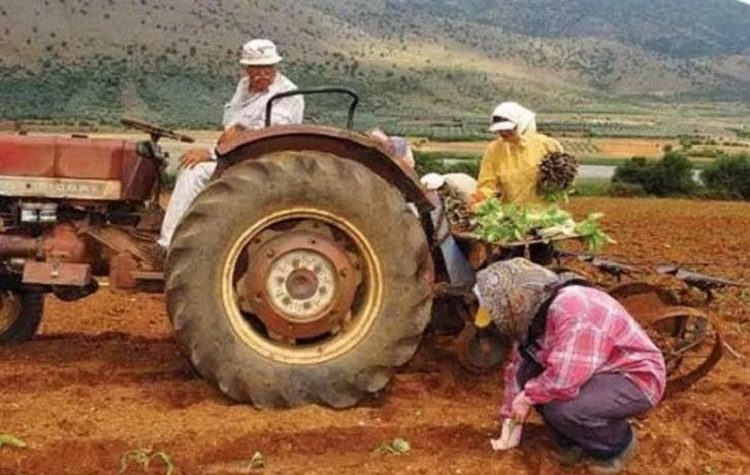 Δηλώσεις ζημιάς από τον καύσωνα σε καλλιέργειες της ΔΕ Παλλήνης