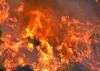 Γιάννης Καλαφατέλης: «Μάχη να κρατήσουμε τη φωτιά να μη μπει στο Κρυονέρι»