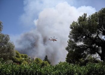 Ευχαριστίες του Δήμου για την συγκινητική κινητοποίηση