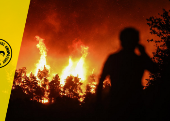 Ο Γ.Σ. Αμαρουσίου στηρίζει των πυρόπληκτους συγκεντρώνοντας είδη πρώτης ανάγκης