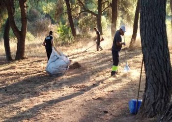 Πρωτοφανείς καθαρισμοί στις δασικές εκτάσεις του Δήμου