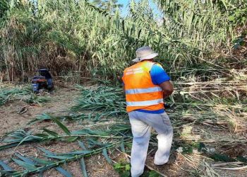 Καθαρισμοί ρεμάτων στον Βόρειο Τομέα από την Περιφέρεια Αττικής