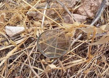 «Απόπειρα εμπρησμού» με μεγεθυντικό φακό πάνω σε ξερά χόρτα στον Υμηττό