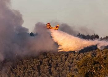Υψηλός ο κίνδυνος πυρκαγιών και για σήμερα Τρίτη 17 Αυγούστου