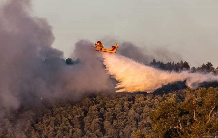 Υψηλός ο κίνδυνος πυρκαγιών και για σήμερα Τρίτη 17 Αυγούστου