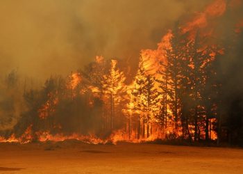 Πολύ υψηλός ο κίνδυνος εκδήλωσης πυρκαγιάς για Δευτέρα 23 Αυγούστου στην Περιφέρεια Αττικής