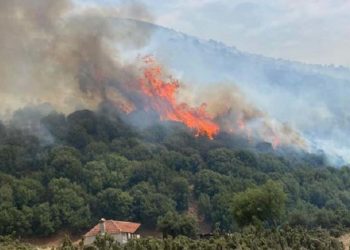 Πολύ υψηλός κίνδυνος πυρκαγιάς για την Παρασκευή 27 Αυγούστου στην Αττική