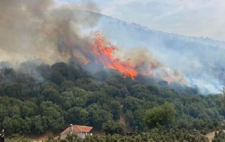 Πολύ υψηλός κίνδυνος πυρκαγιάς για την Παρασκευή 27 Αυγούστου στην Αττική