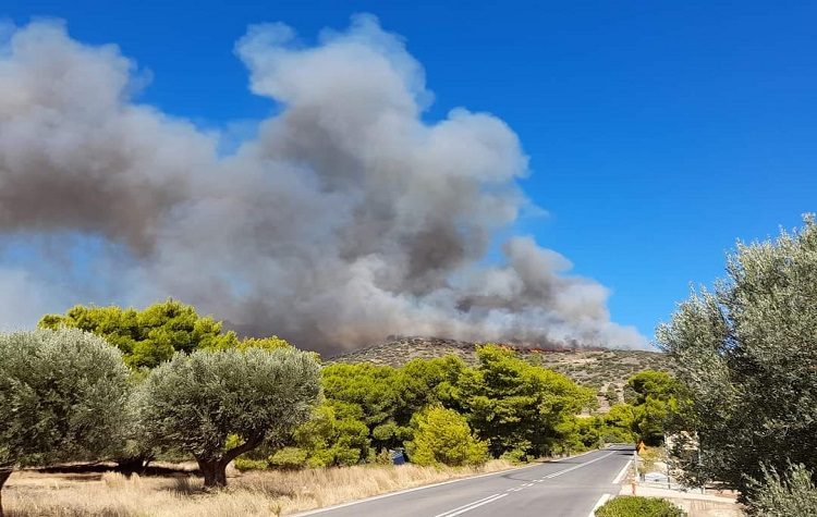 Μεγάλη φωτιά στην Κερατέα του Δήμου Λαυρεωτικής - Εντολή για εκκένωση οικισμών