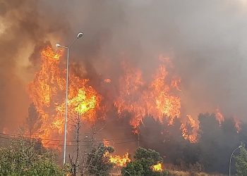 Αντιδήμαρχος Ωρωπού: Δόθηκε μεγάλος αγώνας για να σβήσει  η πυρκαγιά της 5ης Αυγούστου