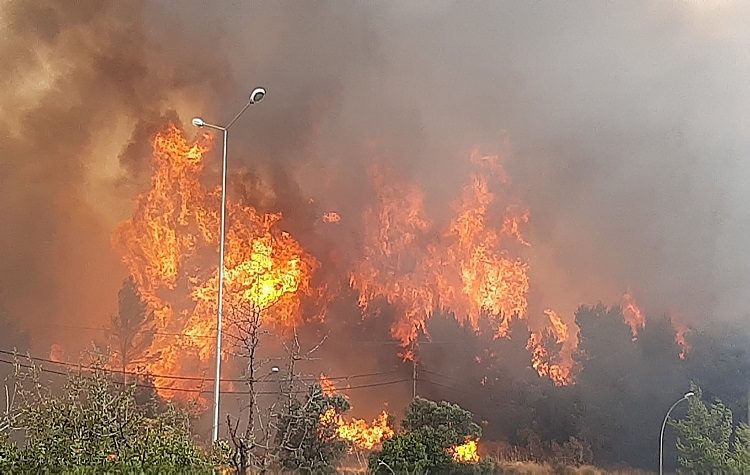 Αντιδήμαρχος Ωρωπού: Δόθηκε μεγάλος αγώνας για να σβήσει  η πυρκαγιά της 5ης Αυγούστου