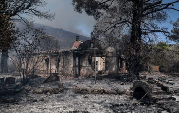 Ο πρώτος απολογισμός της μεγάλης πυρκαγιάς στο Δημοτικό Συμβούλιο Ωρωπού
