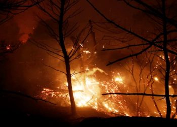 Σε πύρινο «κλοιό» ξανά η Βόρεια Αθήνα - Ολονύχτια μάχη με τις φλόγες