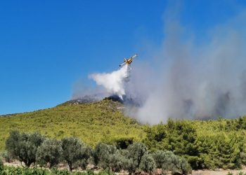 Έπειτα από πέντε ημέρες και μεγάλες καταστροφές οριοθετήθηκε η πυρκαγιά στα Βίλια
