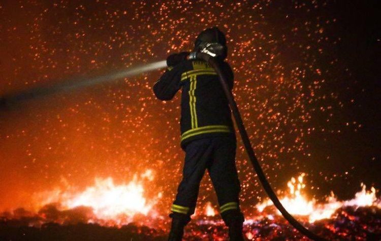 Ανεξέλεγκτη η κατάσταση στα Βασιλικά – Σκληρή μάχη με τις αναζωπυρώσεις σε Αρκαδία-Ηλεία