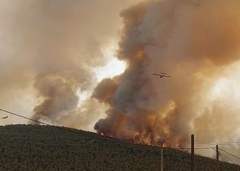Περισσότερα από 94.000 στρέμματα η καμένη γη στα Βίλια & 5.317 στην Κερατέα