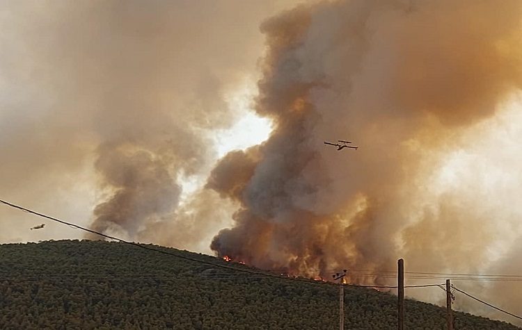 Περισσότερα από 94.000 στρέμματα η καμένη γη στα Βίλια & 5.317 στην Κερατέα
