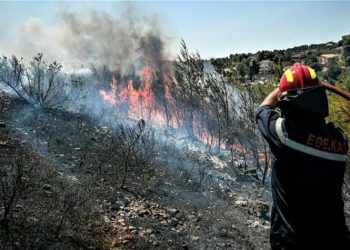«8 Προτάσεις»: Καταγγελία για επέκταση γηπέδων στον Υμηττό - Απάντηση της δημοτικής Αρχής