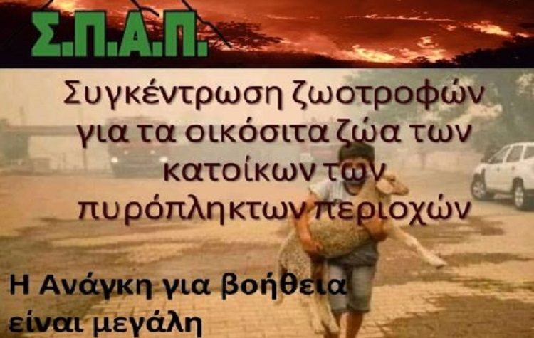 Ο ΣΠΑΠ συγκεντρώνει ζωοτροφές για τα οικόσιτα ζώα των πυρόπληκτων περιοχών σε Εύβοια & Αττική