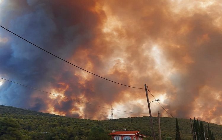 Μαίνεται η «πύρινη κόλαση» στα Βίλια - Απομακρύνθηκαν οι κάτοικοι πέντε οικισμών
