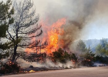 Βίλια: Οι φλόγες έφτασαν μια ανάσα από τον οικισμό - Οι αλλαγές φοράς του ανέμου δυσκολεύουν την κατάσβεση