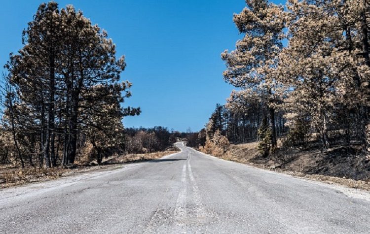H «ΔΡΑΣΗ» συγκεντρώνει υλικά για τους κατοίκους του Βουτά στην Εύβοια