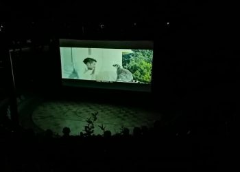 Ολοκληρώθηκαν με επιτυχία οι βραδιές δωρεάν κινηματογραφικών προβολών του Δήμου