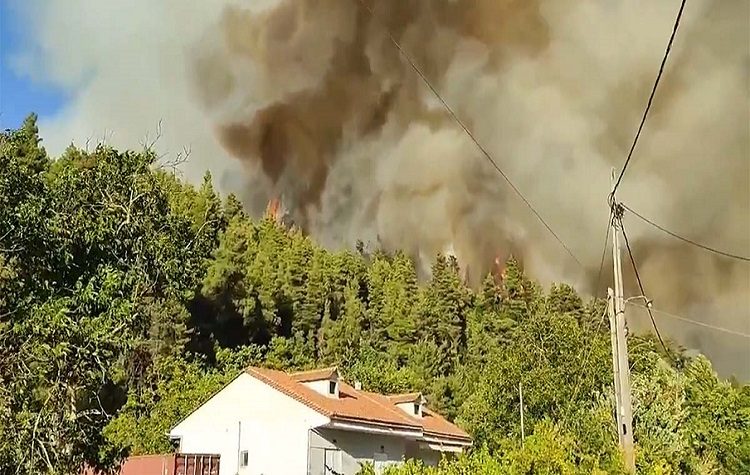 Ολοκληρώθηκε η «Δράση» ανθρωπιάς για τους πυρόπληκτους του Βουτά στη Β. Εύβοια