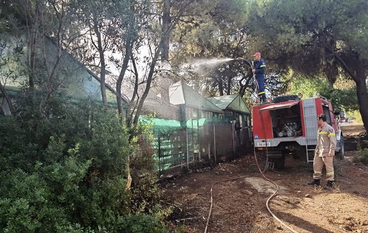 Απολογισμός επιχείρησης κατάσβεσης των πυρκαγιών στη Νέα Μάκρη