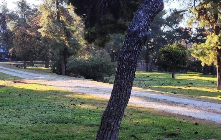 Δήμος Ηρακλείου: «Καλούμε τον κ. Παπαδημητρίου να σταματήσει να παραπλανά τους δημότες»