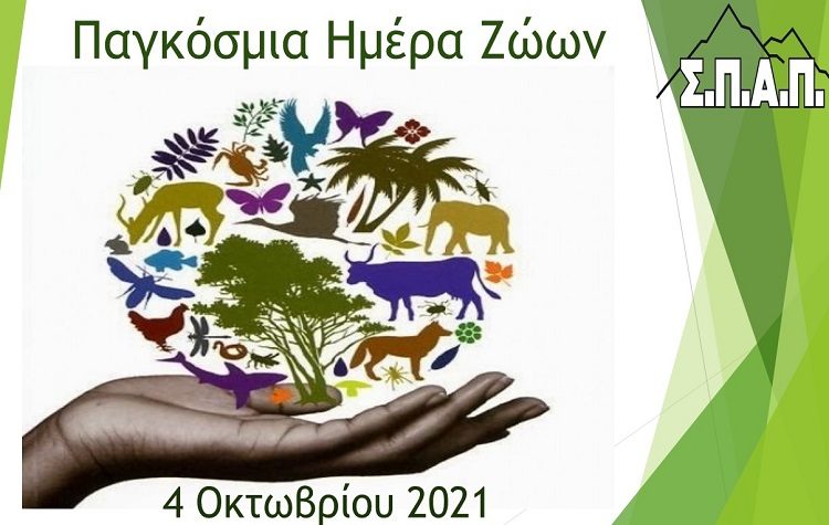 Β. Σιώμος: «Για κάποιους ανθρώπους τα ζώα δεν είναι πάρα ένα «αξεσουάρ»»