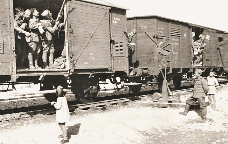 1940-41: Βουνά της Αλβανίας - Με το όπλο και την πένα