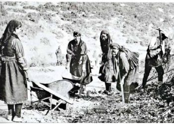 1940-41: Βουνά της Αλβανίας - Με το όπλο και την πένα