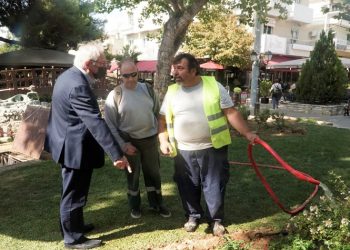Kαθαριότητα, φυτεύσεις, συντήρηση πρασίνου και απολυμάνσεις στο Μαρούσι