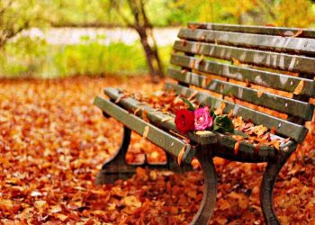 Επίκαιρες σκέψεις: Καλώς ήρθες Φθινόπωρο!