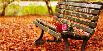 Επίκαιρες σκέψεις: Καλώς ήρθες Φθινόπωρο!