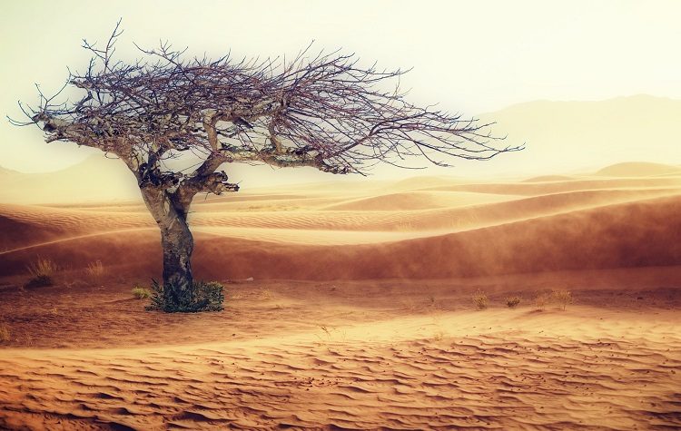 «Ευρωπαϊκή Εβδομάδα Τοπικής Δημοκρατίας» στον Δήμο με δράσεις για το περιβάλλον