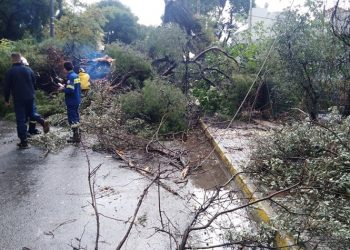 Πτώσεις δέντρων στην Κηφισιά - Άνοιξε η Τατοΐου