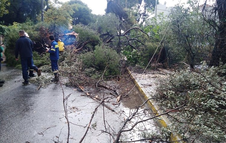 Πτώσεις δέντρων στην Κηφισιά - Άνοιξε η Τατοΐου