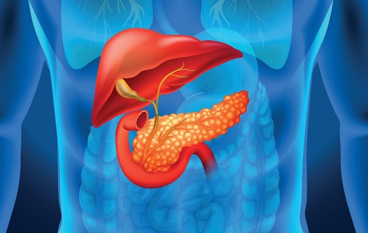 Ήπαρ, Πάγκρεας, Χοληφόρα, Σπλήνας: Με την έμπειρη προσέγγιση ενός εξειδικευμένου χειρουργού