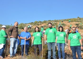 Παρουσία Ν. Κεραμέως  πραγματοποιήθηκε εθελοντική δράση αναδάσωσης στη Νταού Πεντέλης