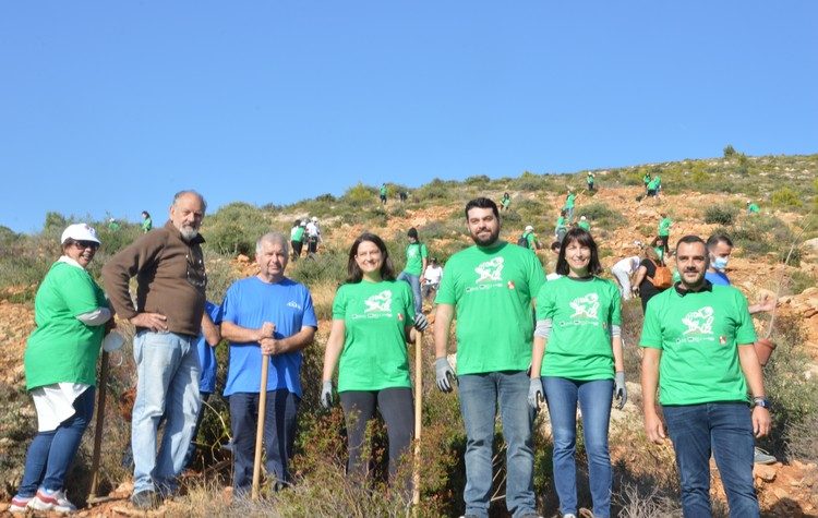 Παρουσία Ν. Κεραμέως  πραγματοποιήθηκε εθελοντική δράση αναδάσωσης στη Νταού Πεντέλης