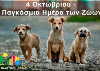 Γαβριηλ Αραμπατζής: «Φιλόζωοι μπορούμε να είμαστε όλοι, είτε έχουμε ένα ζώο, είτε όχι»