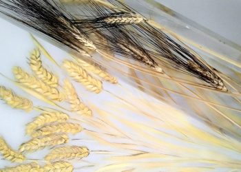 Πινακοθήκη Λέφα: Εγκαινιάζεται η έκθεση «Fysis Dialogoi»