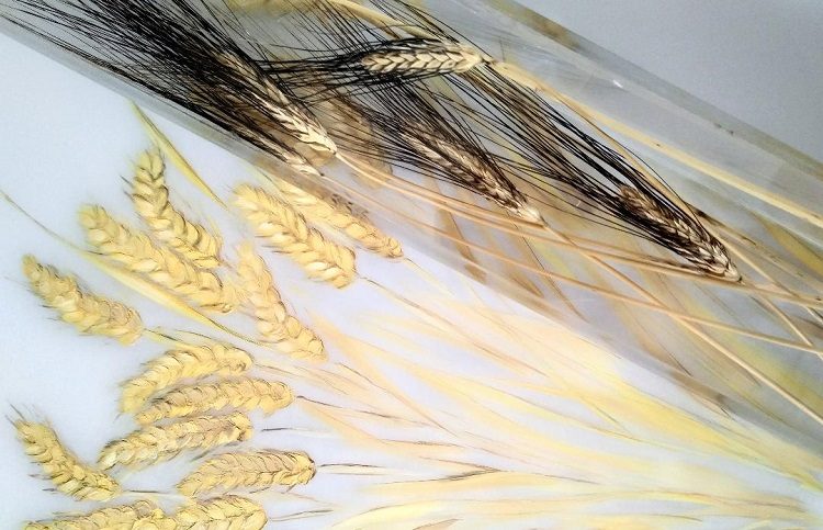 Πινακοθήκη Λέφα: Εγκαινιάζεται η έκθεση «Fysis Dialogoi»