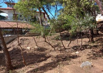 Νέα όψη στο πάρκο των οδών Κωλέττη & Γλάδστωνος έδωσε ο ΣΠΑΠ