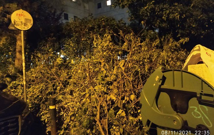 Λύση μέσω ιδιώτη για τα «βουνά» κλαδιών στην πόλη